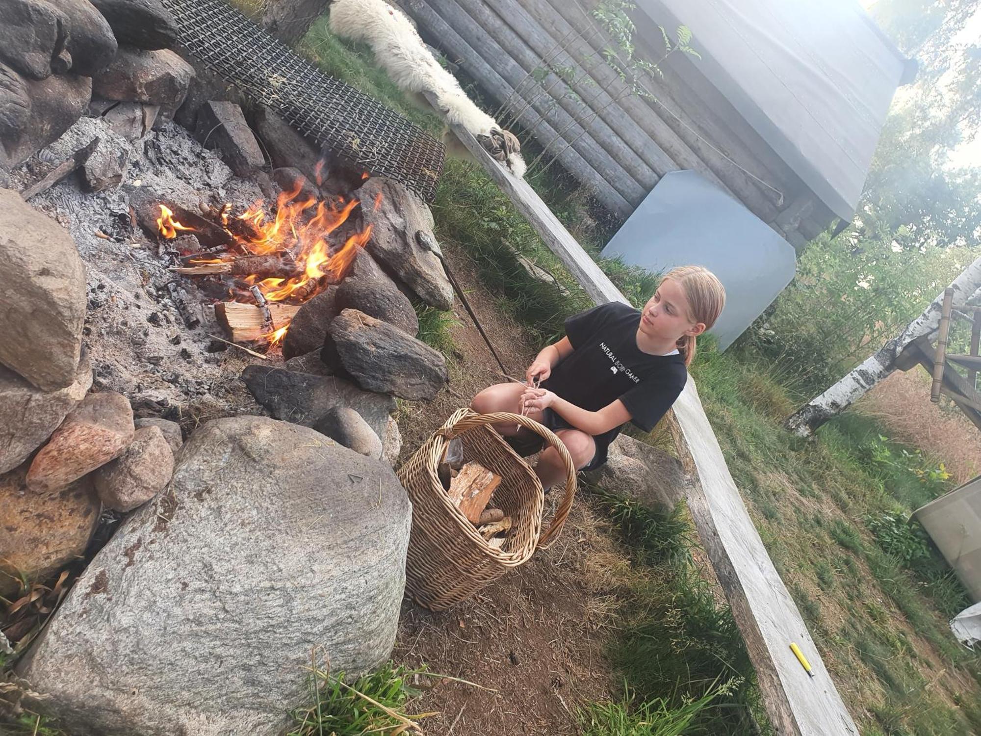 Vittfarnas Vikingaby Villa Sosdala Eksteriør bilde