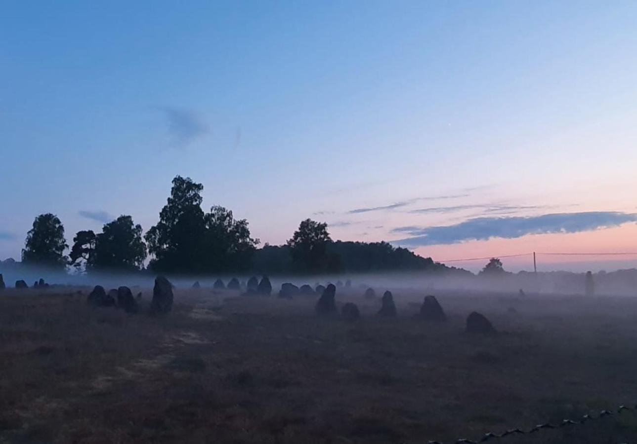 Vittfarnas Vikingaby Villa Sosdala Eksteriør bilde